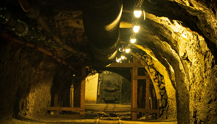 Banner_Unisa graduates forge.png